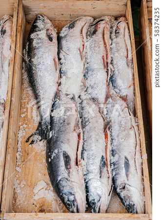 Whole fresh raw salmons with ice in wooden box 58374235