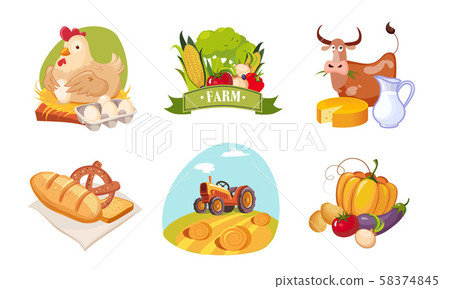 Farm Animals, Poultry and Eco Fresh Products Set, Farm and Agricultural Elements Vector Illustration 58374845