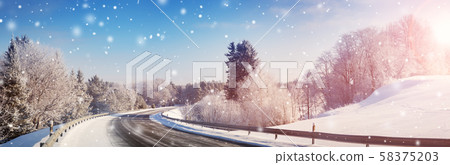 trees covered with snow in the forest trees covered with snow in the forest 58375203