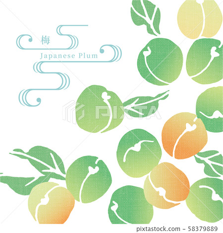 青梅手巾樣式插圖 青梅手巾樣式插圖 58379889