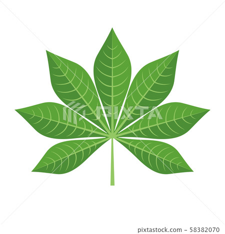 Green Cassava Leaf Icon in flat style isolated on white background. Green Cassava Leaf Icon in flat style isolated on white background. 58382070