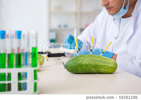 Male nutrition expert testing vegetables in lab Male nutrition expert testing vegetables in lab 58382286