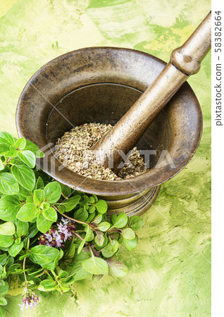 dried oregano herb