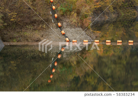 Lake and autumn leaves Lake and autumn leaves 58383234