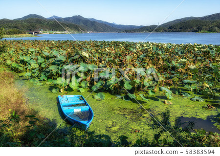 abandoned fishing boat dumulmeori abandoned fishing boat dumulmeori 58383594