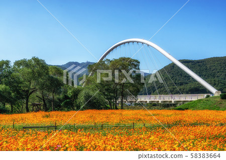 garden of water park bridge and cosmos 58383664