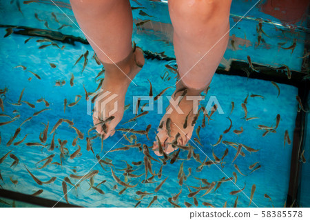 Doctor fish cleaning female feet Doctor fish cleaning female feet 58385578