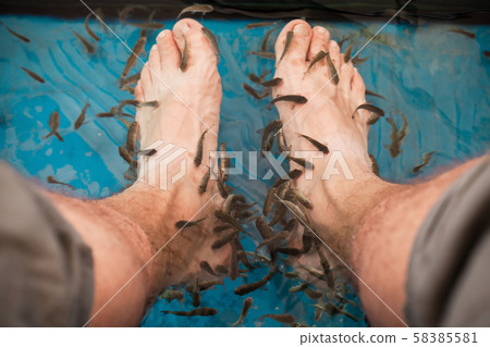 Doctor fish cleaning male feet Doctor fish cleaning male feet 58385581
