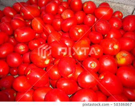 Tomato   58386867