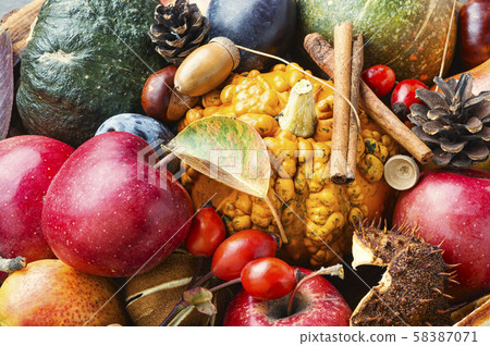 Autumn fruit background Autumn fruit background 58387071