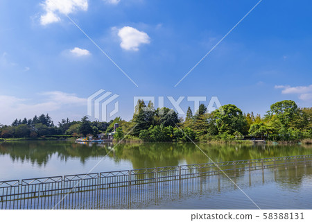 柏之葉公園的船塘 58388131