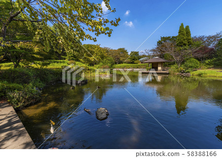 柏之葉公園的日式花園 柏之葉公園的日式花園 58388166