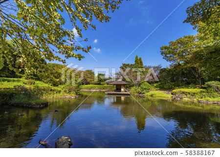 柏之葉公園的日式花園 柏之葉公園的日式花園 58388167