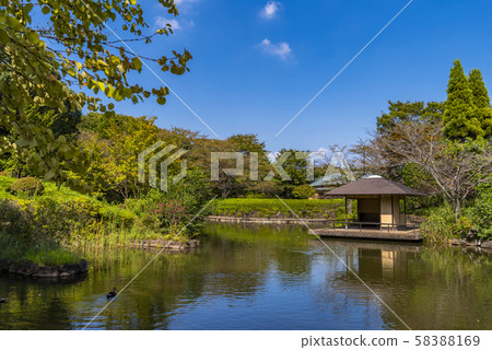 柏之葉公園的日式花園 柏之葉公園的日式花園 58388169
