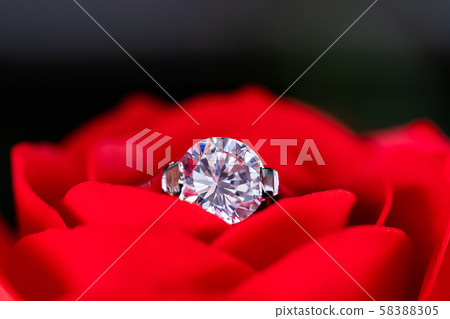 Diamond wedding rings on red roses 58388305