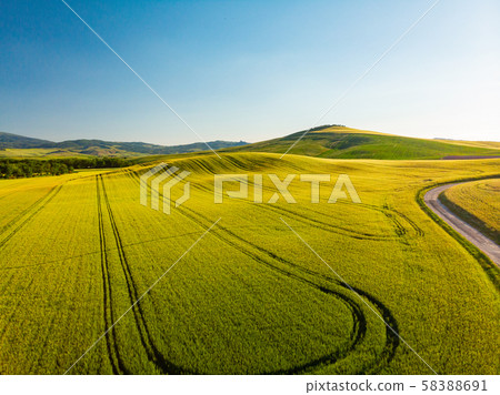 Tuscany countryside hills, stunning aerial view in Tuscany countryside hills, stunning aerial view in 58388691