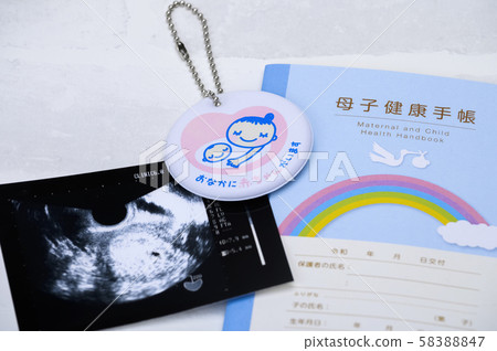 Pregnancy Maternity Notebook Maternity Mark Echo Photo Pregnancy Maternity Notebook Maternity Mark Echo Photo 58388847