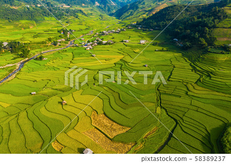 Aerial top view of paddy rice terraces, green 58389237