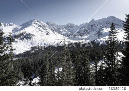 Winter landscape of the Tatra Mountains. Poland. 58389428
