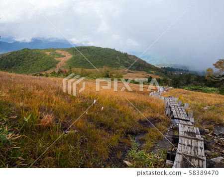 尾瀨三池熊澤田四池 58389470