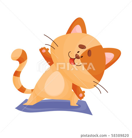 Cartoon cat yogi leans to the side. Vector illustration. 58389820