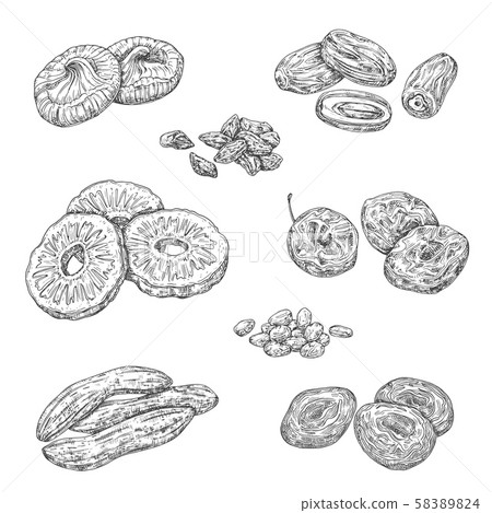 Nuts, berries and dried fruits isolated sketches Nuts, berries and dried fruits isolated sketches 58389824
