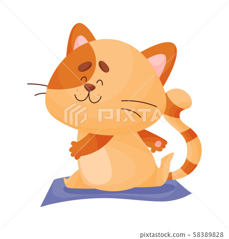 Cartoon cat yogi sits in twine. Vector illustration. Cartoon cat yogi sits in twine. Vector illustration. 58389828