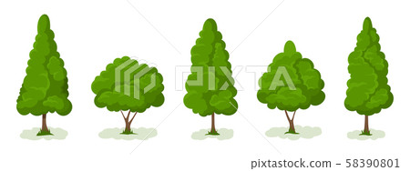 Summer. Trees set 58390801
