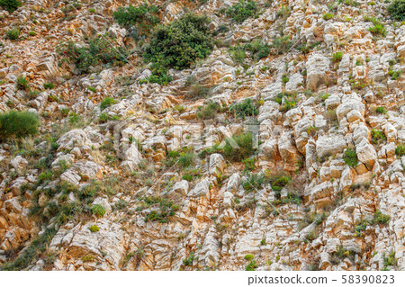 Vertical sheer cliff with plants and bushes 58390823