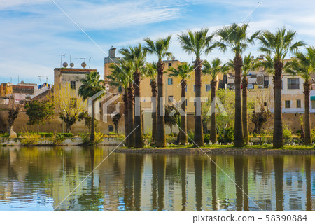 Royal Park in Fez with lake and palms, Morocco Royal Park in Fez with lake and palms, Morocco 58390884