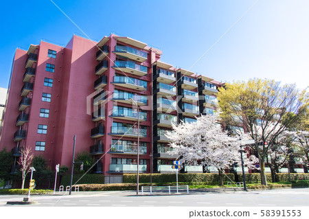 Urban landscape with green and apartment 58391553