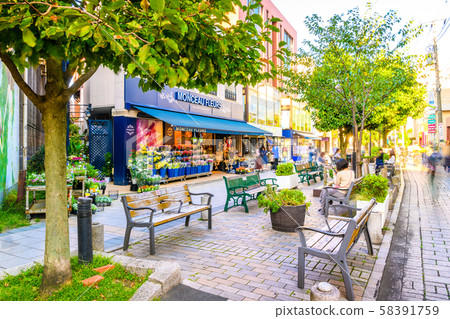 Jiyugaoka Kushinbutsugawa綠色之路 Jiyugaoka Kushinbutsugawa綠色之路 58391759