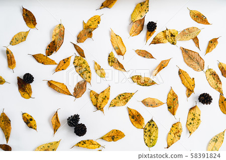 Yellow leaves on white and autumn and a cup of coffee Yellow leaves on white and autumn and a cup of coffee 58391824