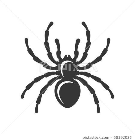 Black Spider Silhouette Icon on White Background. Vector Black Spider Silhouette Icon on White Background. Vector 58392025