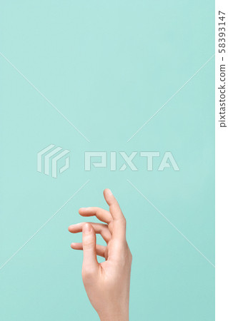 Female hand. hand brush isolated Female hand. hand brush isolated 58393147