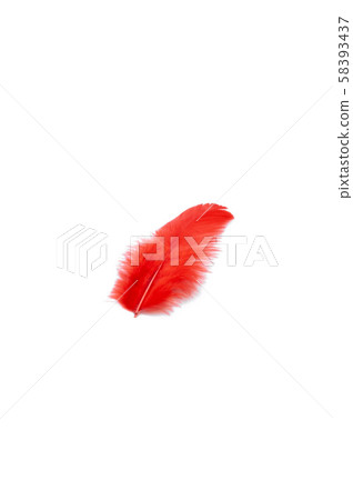 紅羽毛社區胸部 58393437