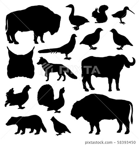 Hunting birds and animals, black silhouettes Hunting birds and animals, black silhouettes 58393450