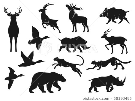 Birds and animals isolated silhouettes 58393495