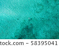 Top down view of a girl swimming in a lagoon 58395041