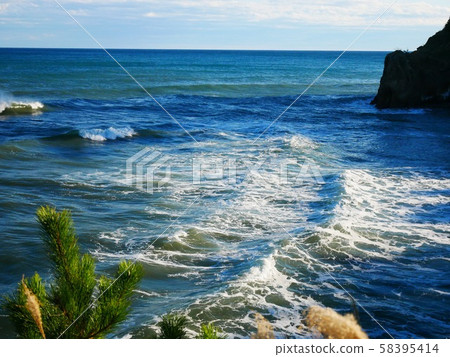 海 海 58395414