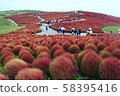 KOKIA 58395416