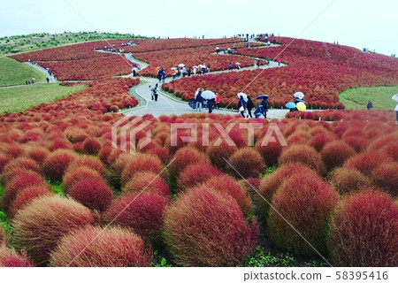 KOKIA KOKIA 58395416