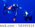 scuba diving 58395914