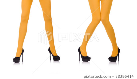 Woman legs in long stockings Woman legs in long stockings 58396414