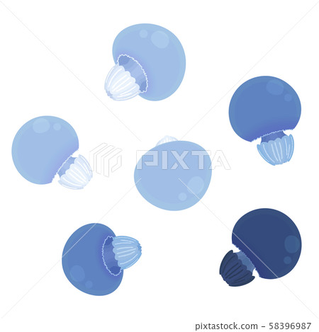 水母illustration_Color水母_6 58396987