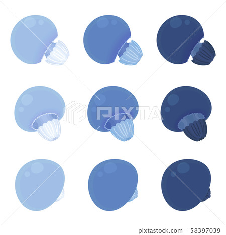 Jellyfish illustration_color jellyfish_3 color set Jellyfish illustration_color jellyfish_3 color set 58397039
