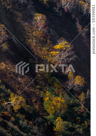 Hakuba Valley Autumn Nagano Japan Hakuba Valley Autumn Nagano Japan 58399981