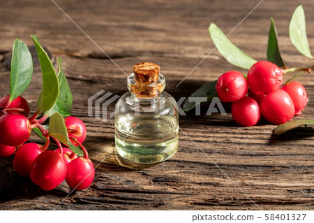 A bottle of wintergreen essential oil with fresh wintergreen berries 58401327