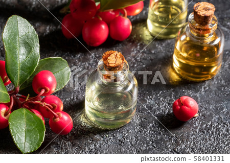 A bottle of wintergreen essential oil with fresh wintergreen berries 58401331
