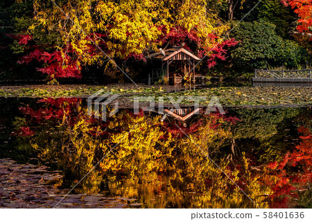 秋天的良安寺 58401636
